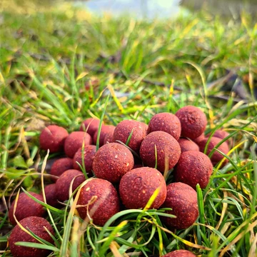 Fűszeres 20mm / 2kg-os kiszerelés