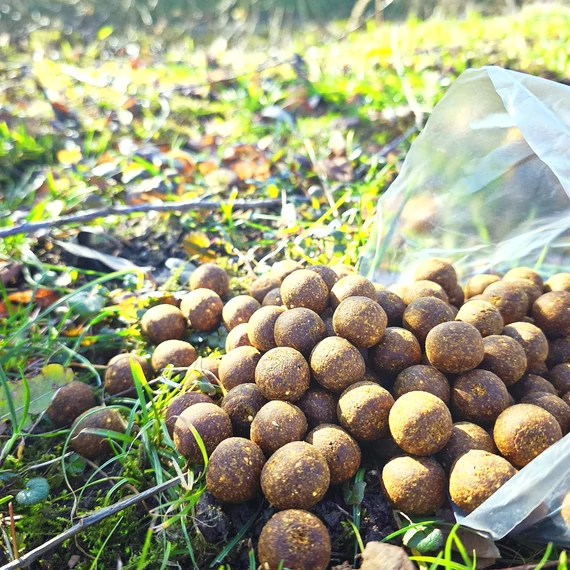 Banán-Kagyló 24mm / 2kg-os kiszerelés