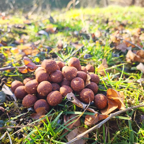 Barack-Mangó 20mm / 2kg-os kiszerelés
