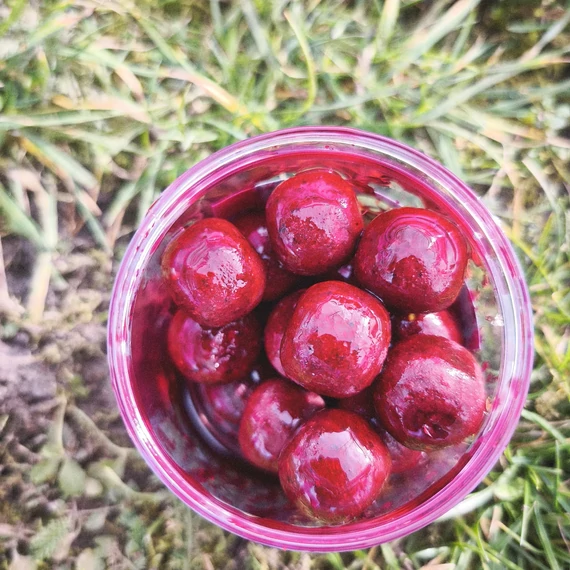 Áfonya-Tintahal - DIPPELT CSALIZÓ BOJLI - 20mm 150g